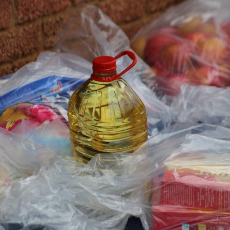 WhatsApp Image 2025-10-24 at 10.11.10 (1)