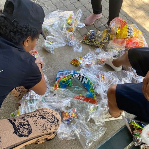 499ce0f5-e803-48da-ad39-00c88c9cfdb6